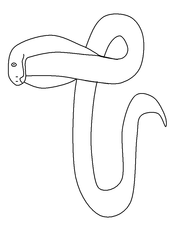 Disegno 15 Serpenti