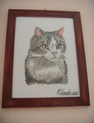 Quadro Gatto