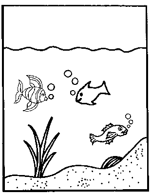 Disegno 11 Acquario