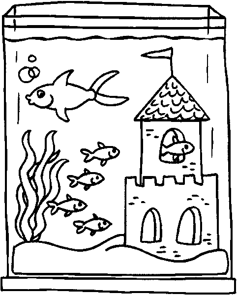 Disegno 7 Acquario