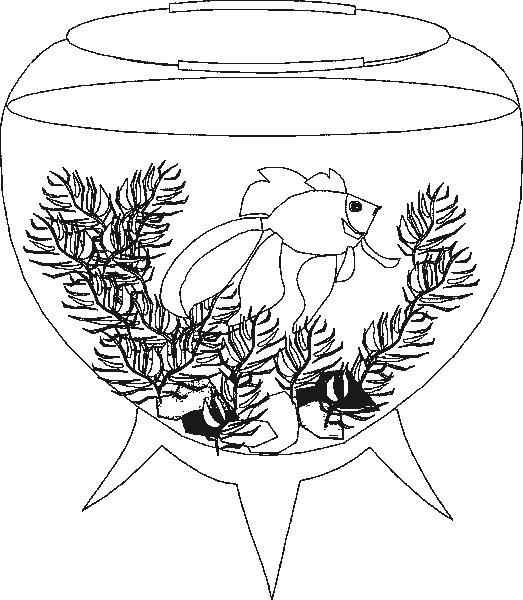 Disegno 8 Acquario