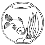 Disegno 22 Acquario