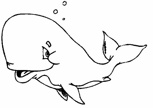 Disegno 13 Balene