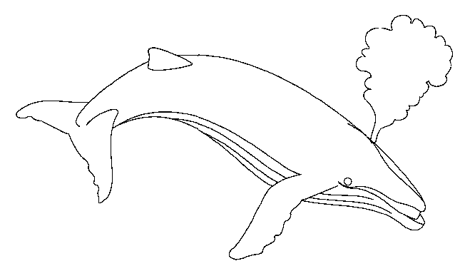 Disegno 14 Balene