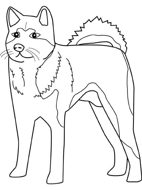 Disegno 22 Cani