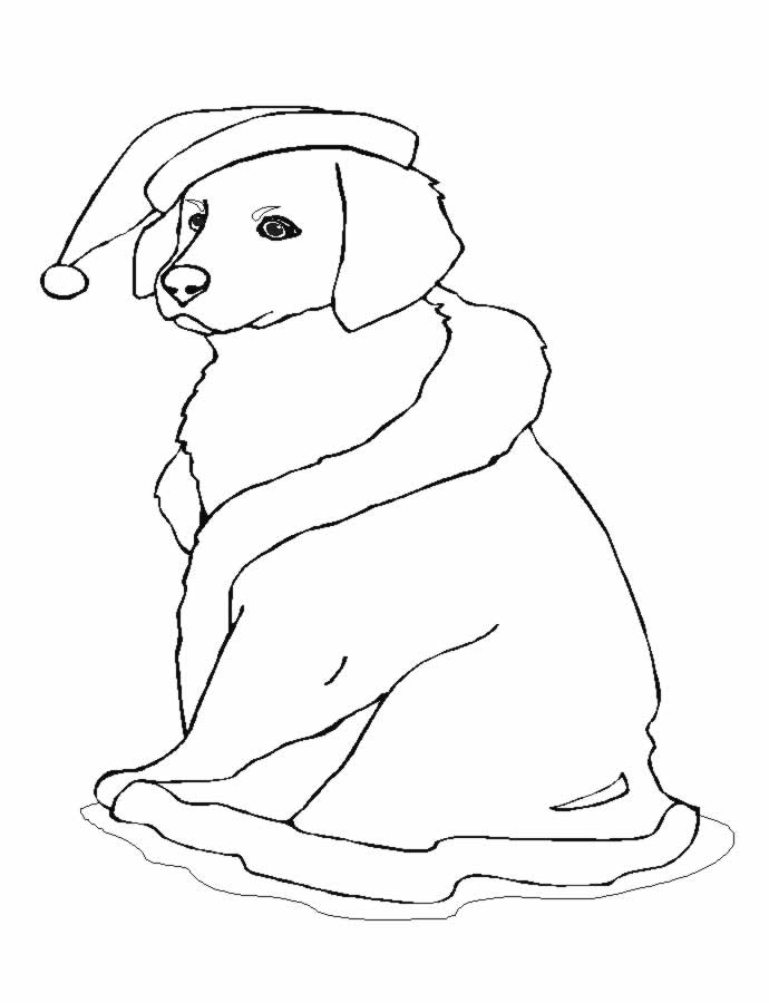 Disegno 53 Cani