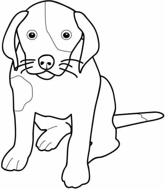 Disegno 58 Cani