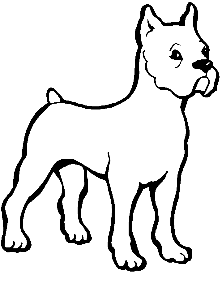 Disegno 78 Cani