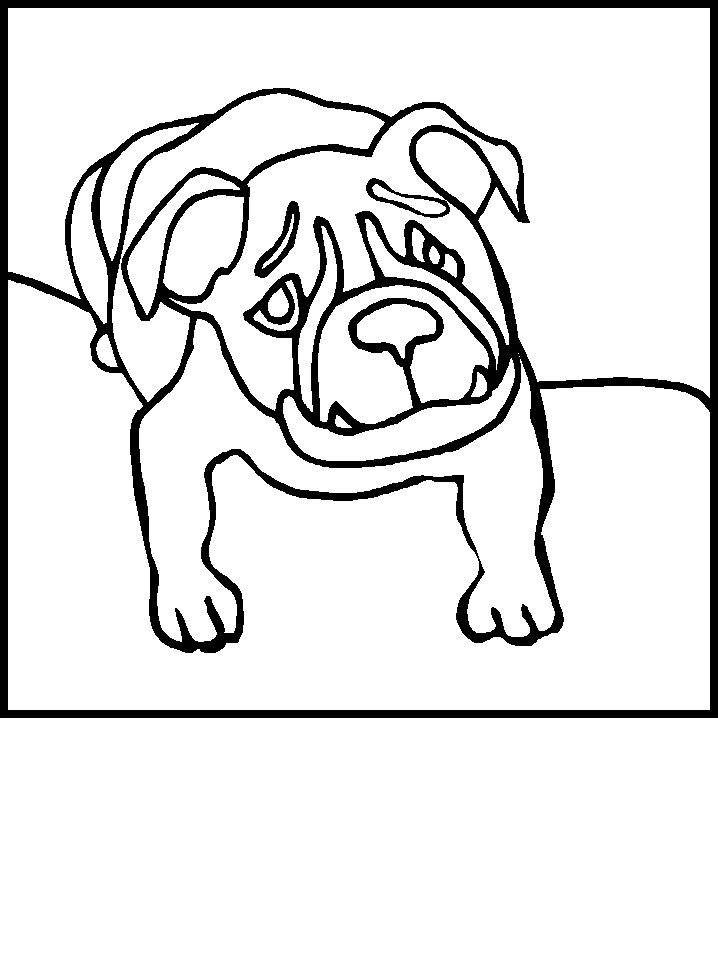 Disegno 81 Cani