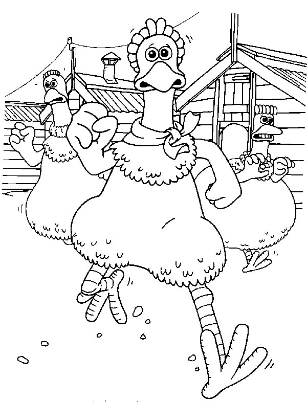 Disegno 30 Chickenrun