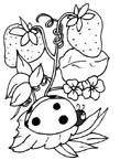 Disegno 3 Coccinelle