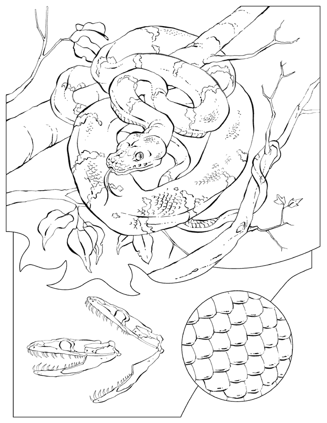 Disegno 14 Didattica