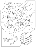 Disegno 14 Didattica