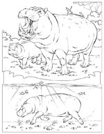 Disegno 16 Didattica