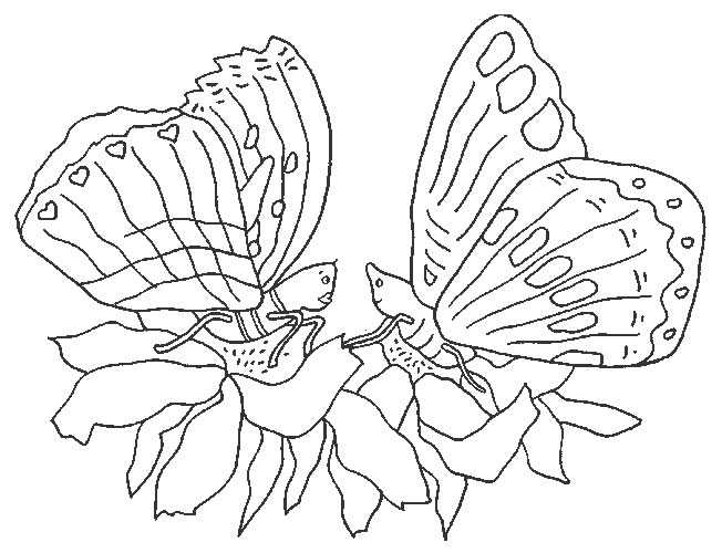 Disegno 121 Farfalle