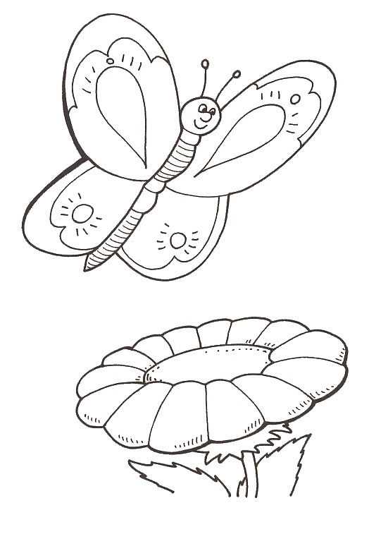 Disegno 84 Farfalle