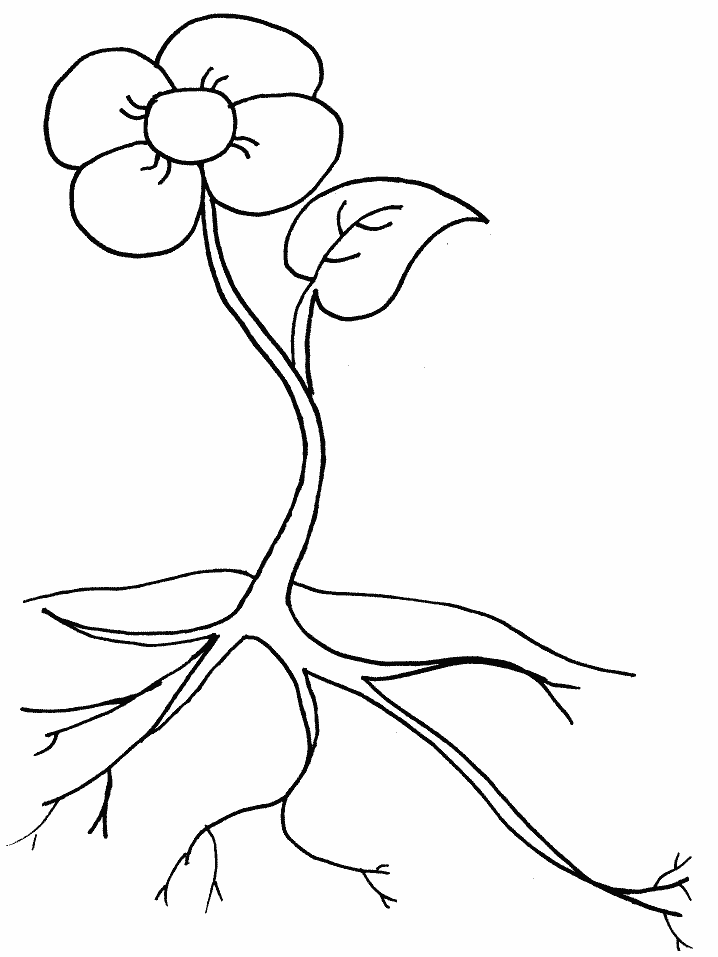 Disegno 101 Fiori