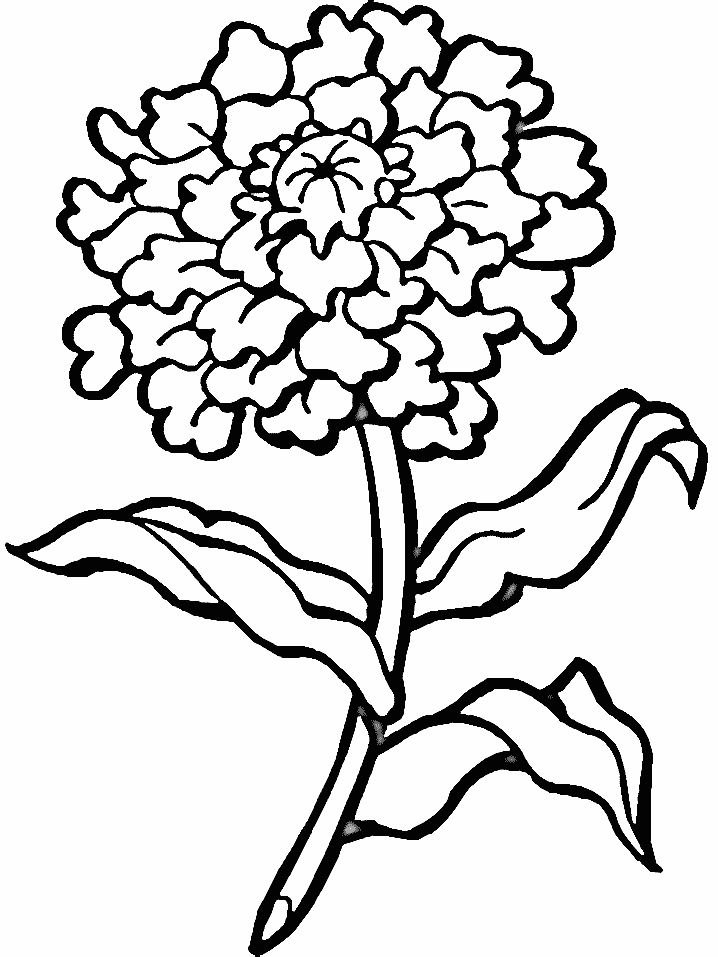 Disegno 110 Fiori