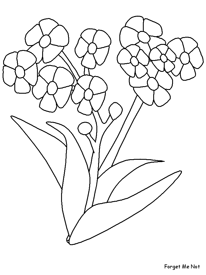 Disegno 114 Fiori