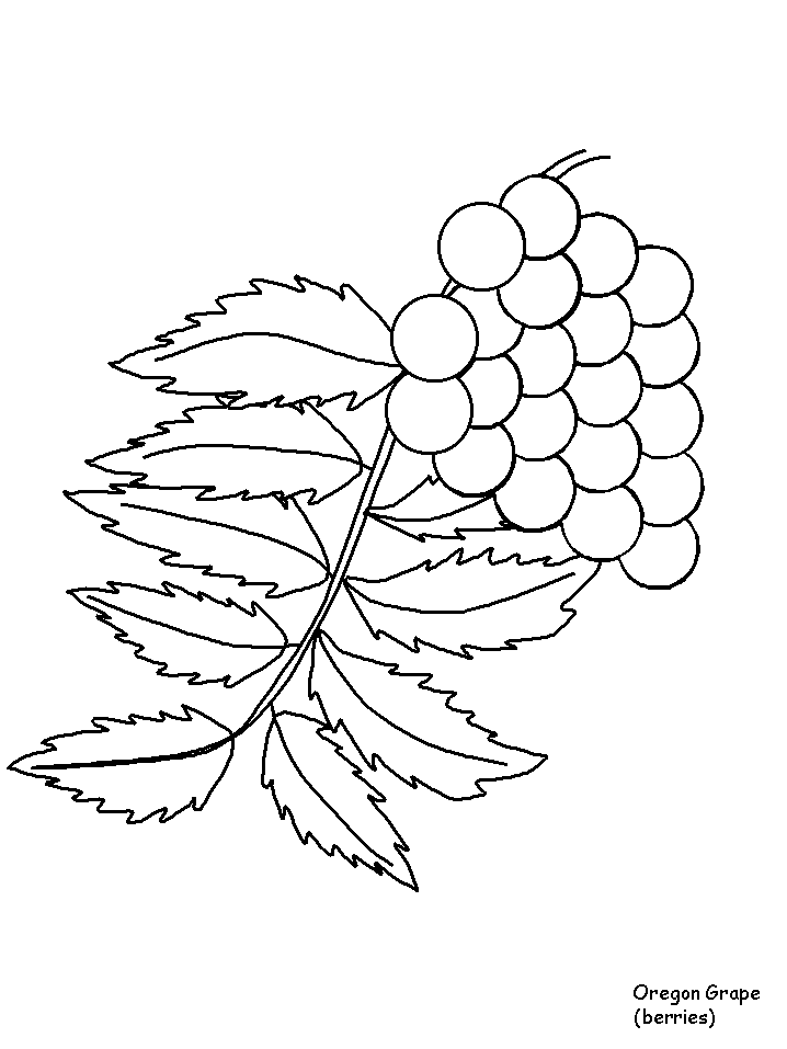 Disegno 127 Fiori