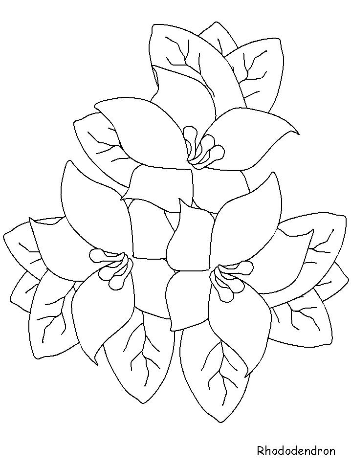 Disegno 133 Fiori