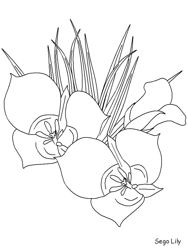 Disegno 136 Fiori