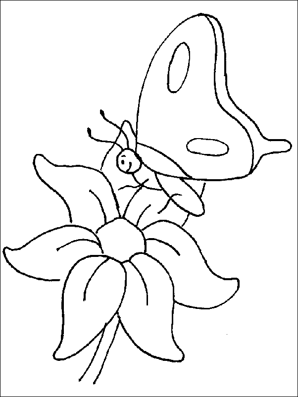 Disegno 21 Fiori