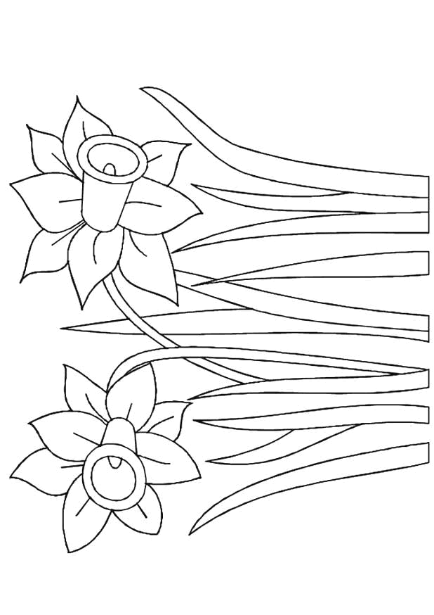 Disegno 47 Fiori