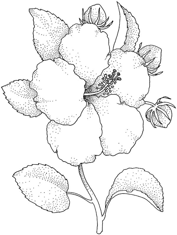 Disegno 68 Fiori