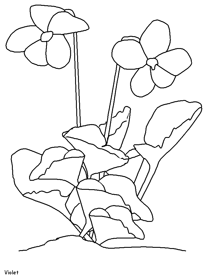 Disegno 75 Fiori