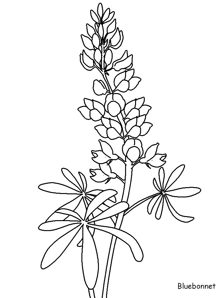 Disegno 86 Fiori