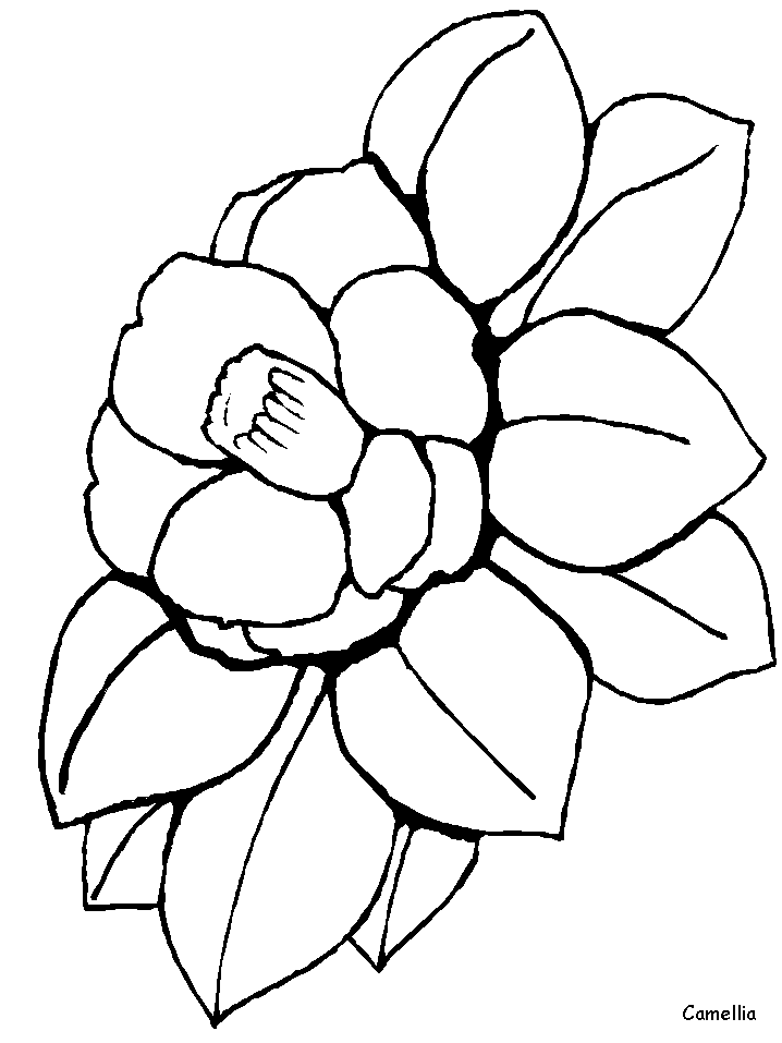 Disegno 89 Fiori