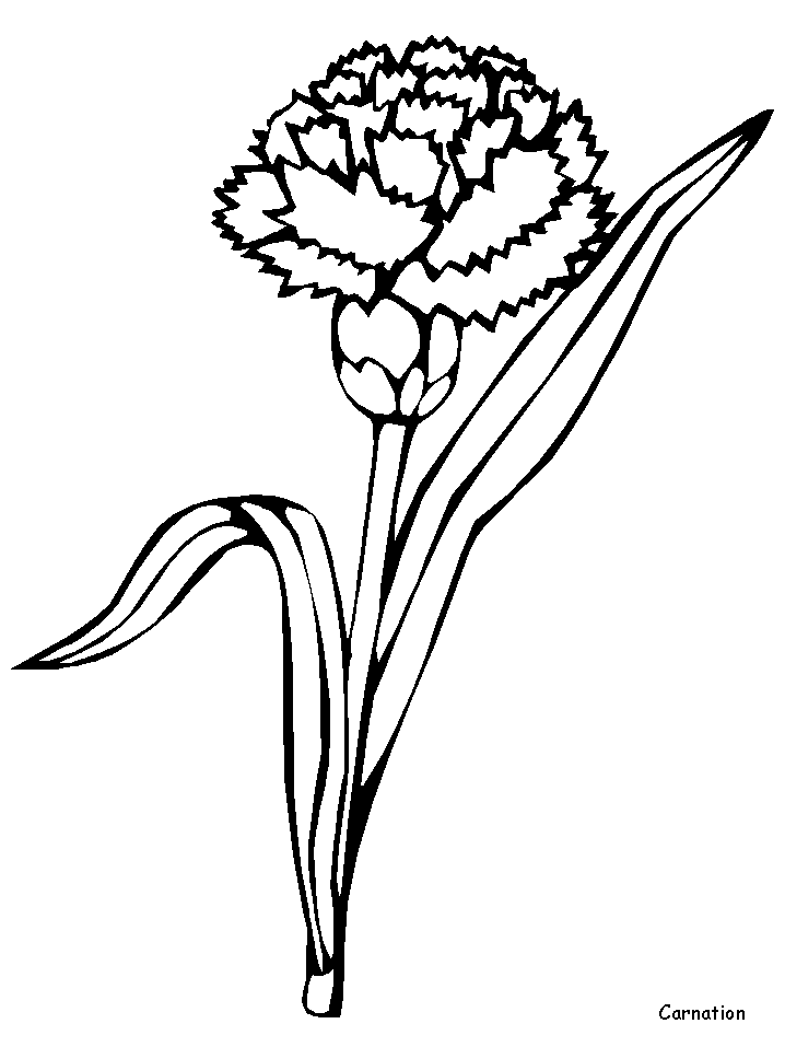 Disegno 90 Fiori