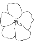 Disegno 119 Fiori