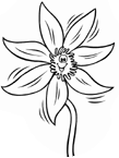 Disegno 84 Fiori