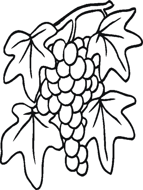 Disegno 33 Frutta verdura