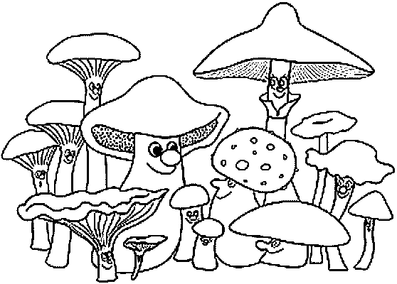 Disegno 11 Funghi