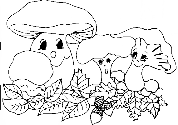 Disegno 22 Funghi