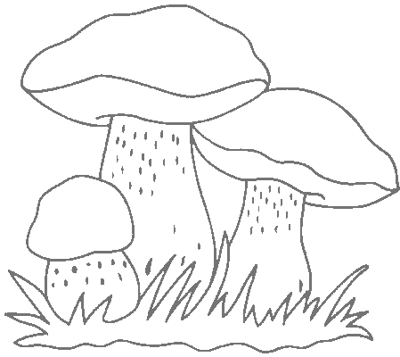 Disegno 23 Funghi