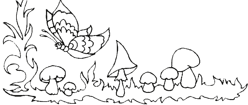 Disegno 33 Funghi