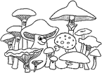 Disegno 11 Funghi