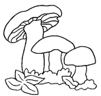 Disegno 19 Funghi