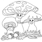 Disegno 24 Funghi