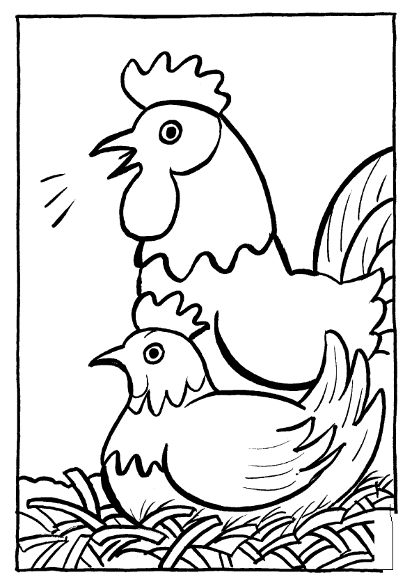 Disegno 19 Galline