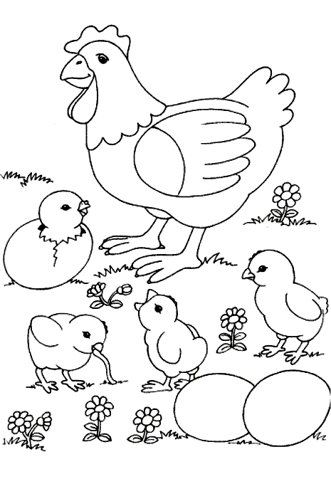 Disegno 23 Galline