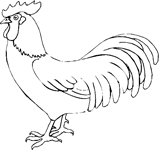 Disegno 12 Galline