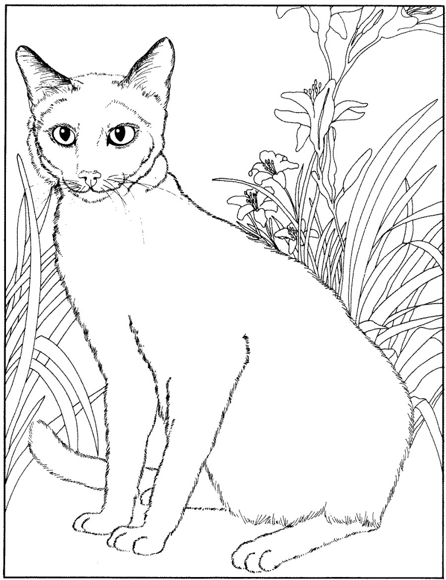 Disegno 60 Gatti