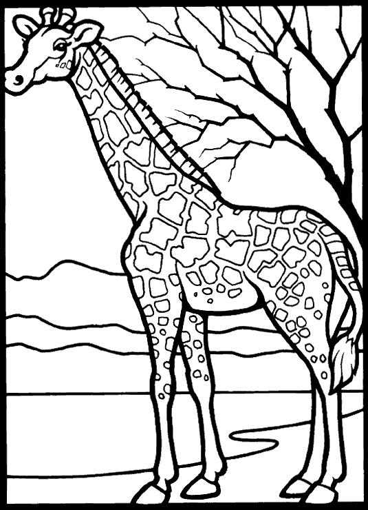 Disegno 15 Giraffe