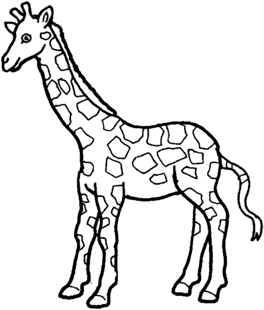 Disegno 17 Giraffe