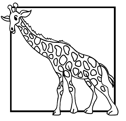 Disegno 18 Giraffe